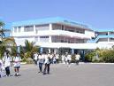 20080502161716-images.jpeg