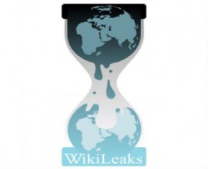 20101210155135-wikileaks-logo.jpg